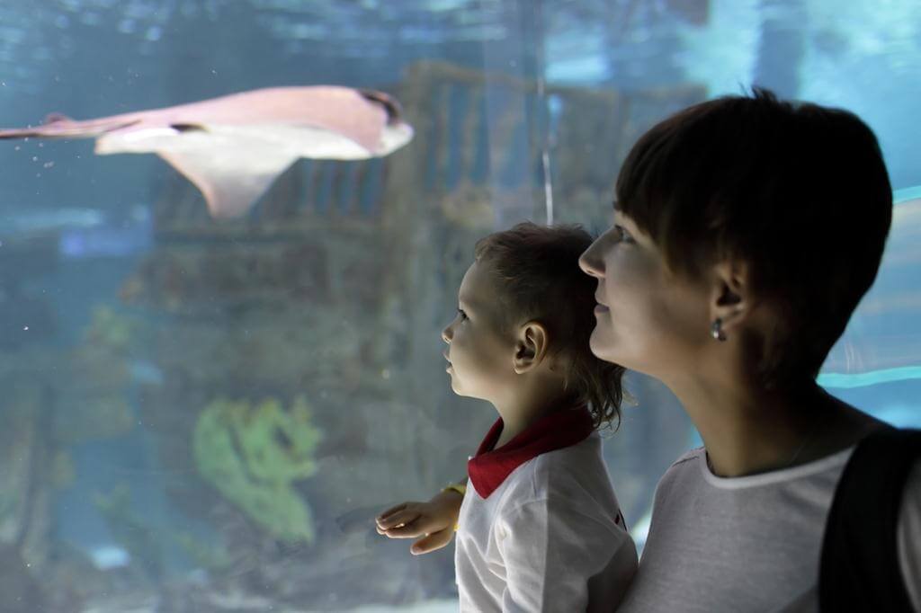 Antalya Aquarium Turcja oceanarium  (3).jpg